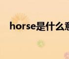 horse是什么意思呀（horse是什么意思）