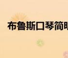 布魯斯口琴簡(jiǎn)明教程（布魯斯口琴教程書(shū)）