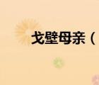 戈壁母親（說一說戈壁母親的簡介）