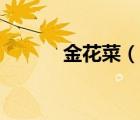 金花菜（說一說金花菜的簡介）