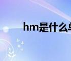 hm是什么單位（hm2是什么單位）
