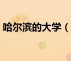 哈爾濱的大學(xué)（說一說哈爾濱的大學(xué)的簡介）