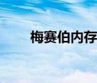 梅賽伯內(nèi)存條兼容性（梅賽伯內(nèi)存）