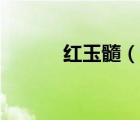 紅玉髓（說(shuō)一說(shuō)紅玉髓的簡(jiǎn)介）