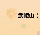 武陵山（說一說武陵山的簡介）
