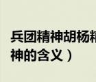 兵團(tuán)精神胡楊精神老兵精神心得體會(huì)（胡楊精神的含義）