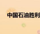中國石油勝利學(xué)院貼吧（勝利學(xué)院貼吧）