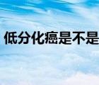 低分化癌是不是沒救了（低分化癌是晚期嗎）