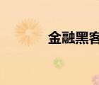 金融黑客 第17章（金融黑客）