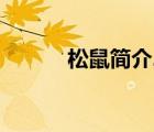 松鼠簡介20字左右（松鼠簡介）