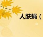 人膚蠅（說一說人膚蠅的簡介）
