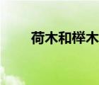 荷木和櫸木哪個(gè)好（荷木是什么木）