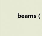 beams（說一說beams的簡介）
