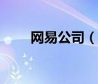 網(wǎng)易公司（說一說網(wǎng)易公司的簡介）