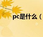 pc是什么（說一說pc是什么的簡介）