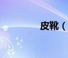 皮靴（說一說皮靴的簡介）