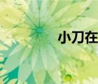 小刀在線觀看（小刀在線）