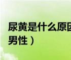尿黃是什么原因男性嚴重嗎（尿黃是什么原因男性）