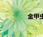 金甲蟲2游戲（金甲蟲2）