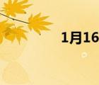 1月16日新聞（1月16日）