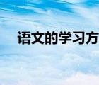 語文的學(xué)習(xí)方法初中（語文的學(xué)習(xí)方法）