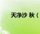 天凈沙 秋（說一說天凈沙 秋的簡介）