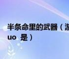 半條命里的武器（游戲 半條命 中的 ldquo 物理學(xué)圣劍 rdquo  是）