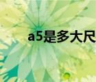 a5是多大尺寸（a5尺寸是多少厘米）