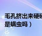 毛孔擠出來硬硬小米粒是什么（臉上擠出硬粒是螨蟲嗎）