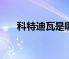 科特迪瓦是哪個(gè)國(guó)家（科特迪瓦球星）