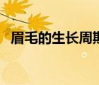 眉毛的生長(zhǎng)周期是多久（眉毛的生長(zhǎng)周期）