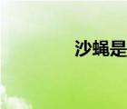 沙蠅是什么（沙蠅農(nóng)博客）