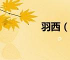羽西（說一說羽西的簡介）