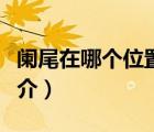 闌尾在哪個位置（說一說闌尾在哪個位置的簡介）