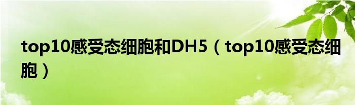 top10感受態(tài)細(xì)胞和DH5（top10感受態(tài)細(xì)胞）