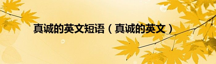 真誠的英文短語（真誠的英文）