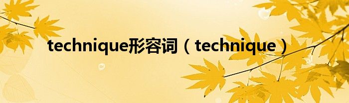 technique形容詞（technique）