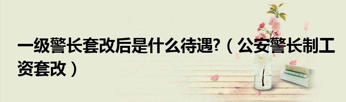 一級警長套改后是什么待遇?（公安警長制工資套改）