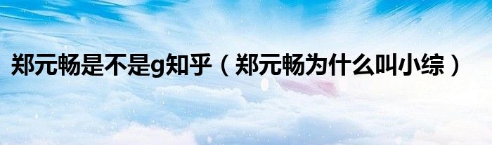 鄭元暢是不是g知乎（鄭元暢為什么叫小綜）