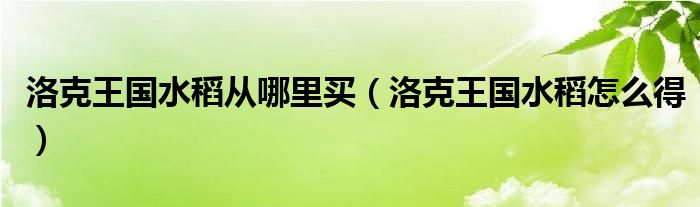 洛克王國水稻從哪里買（洛克王國水稻怎么得）