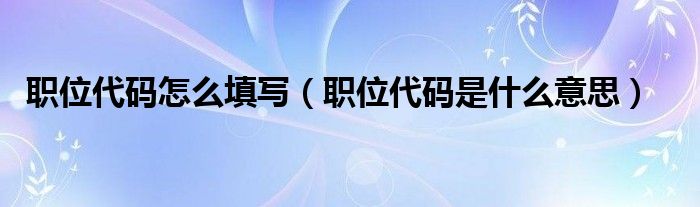 職位代碼怎么填寫（職位代碼是什么意思）