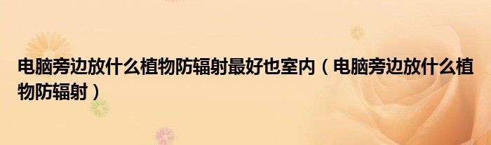 電腦旁邊放什么植物防輻射最好也室內(nèi)（電腦旁邊放什么植物防輻射）