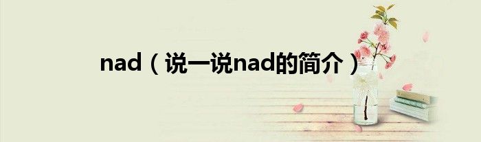 nad（說一說nad的簡介）