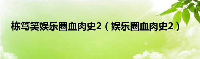 棟篤笑娛樂圈血肉史2（娛樂圈血肉史2）
