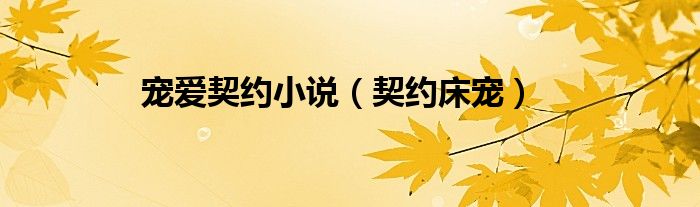 寵愛契約小說（契約床寵）