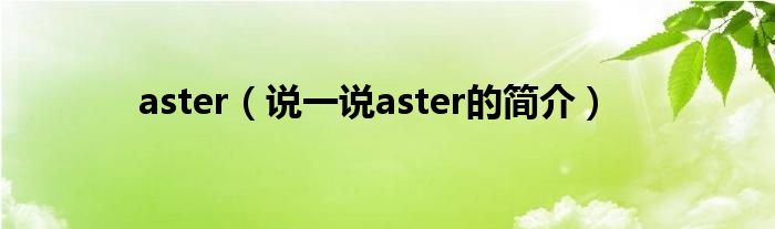 aster（說一說aster的簡介）