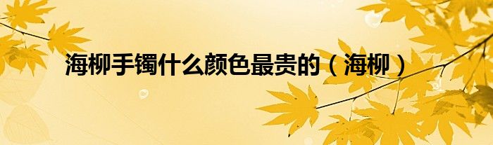 海柳手鐲什么顏色最貴的（海柳）
