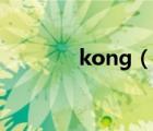kong（說(shuō)一說(shuō)kong的簡(jiǎn)介）