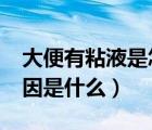 大便有粘液是怎么回事兒?（大便有黏液的原因是什么）