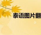 泰語(yǔ)圖片翻譯在線(xiàn)（泰語(yǔ)圖片翻譯）